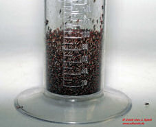 Drosophila_hydei_100ccm_Th Drosophila_hydei_100ccm_Th